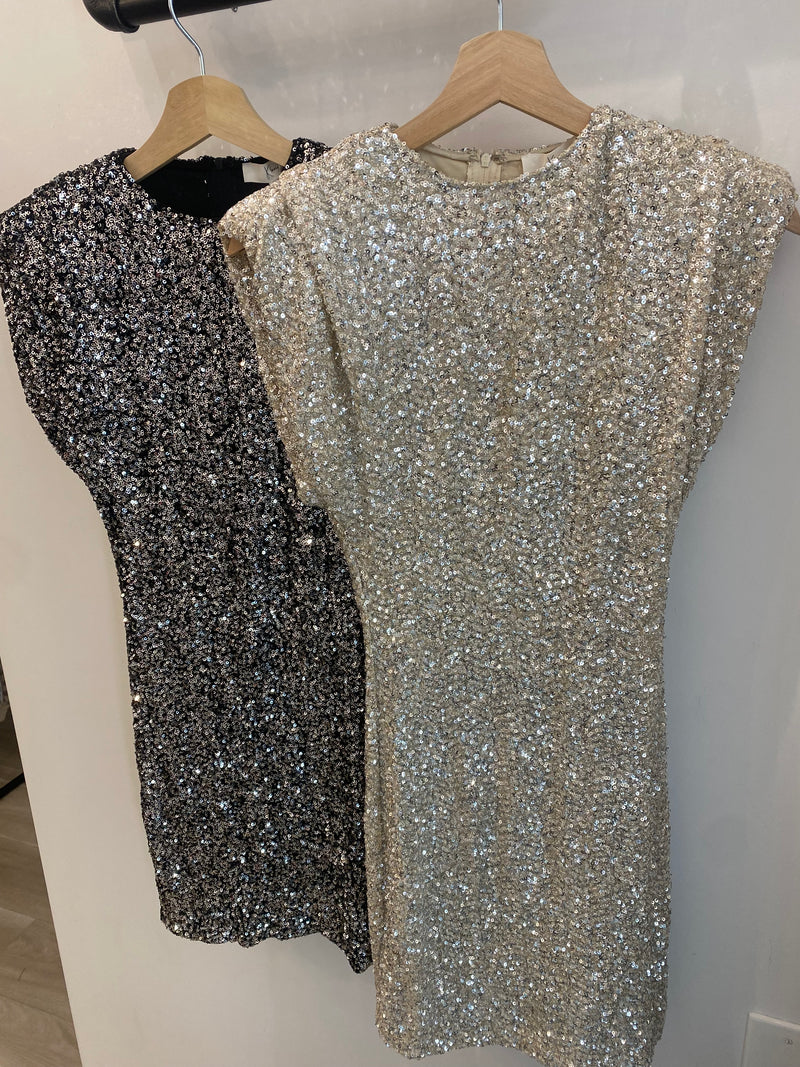 Starlit Sequins Dress | 2 colours