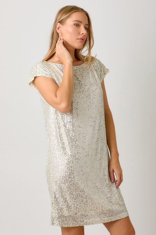 Sequins Shift Dress  | 2 colours