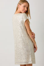 Sequins Shift Dress  | 2 colours