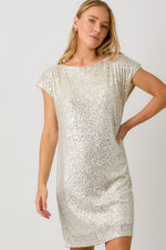 Sequins Shift Dress  | 2 colours