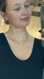 Silver Bull Chain
