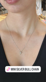 Silver Bull Chain