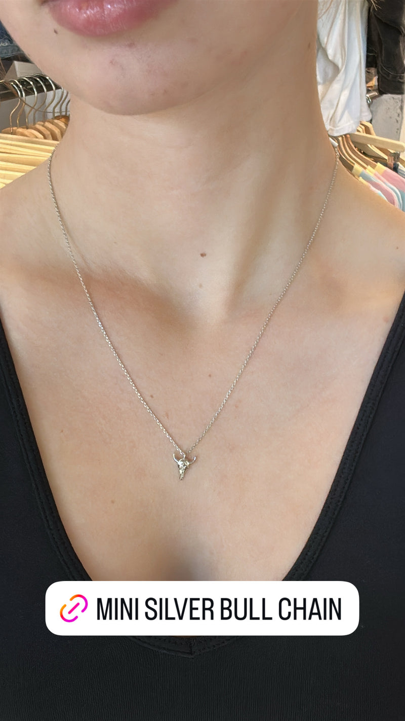 Silver Bull Chain