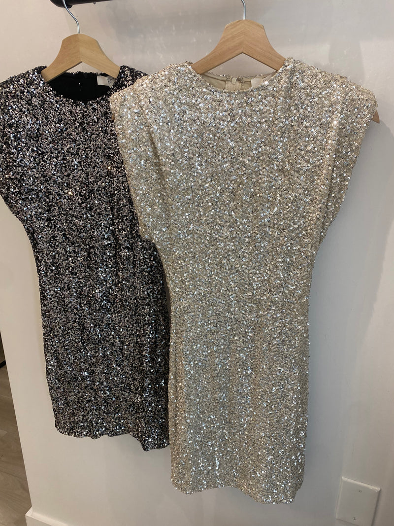 Starlit Sequins Dress | 2 colours